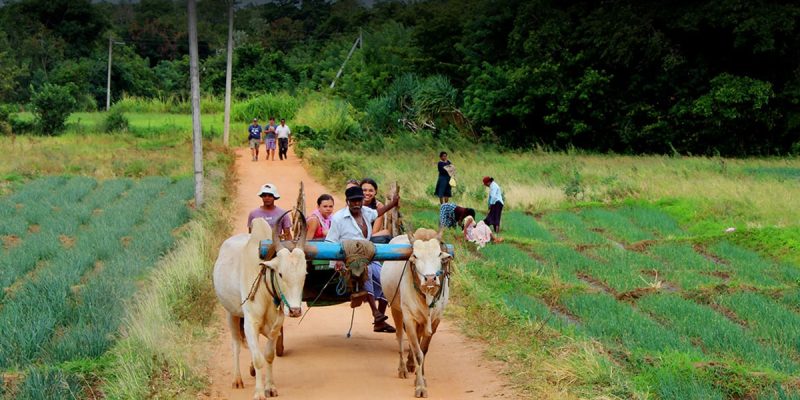 Small-community-tourism-development-in-Sri-Lanka